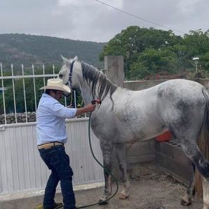 Meet your Posher, Arturo